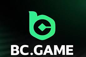 Explore the Thrill of BCGAME Casino in Pakistan